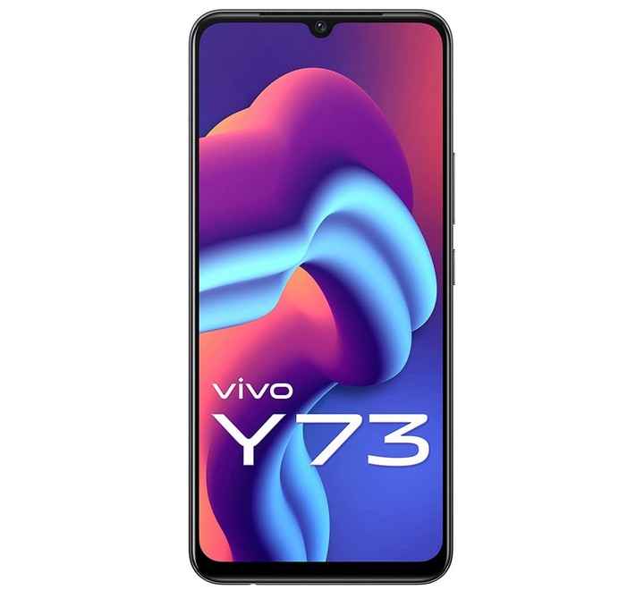 VIVO Y73 Roman Black 128 GB 8 GB RAM (Y73 8/128GB BLACK)
